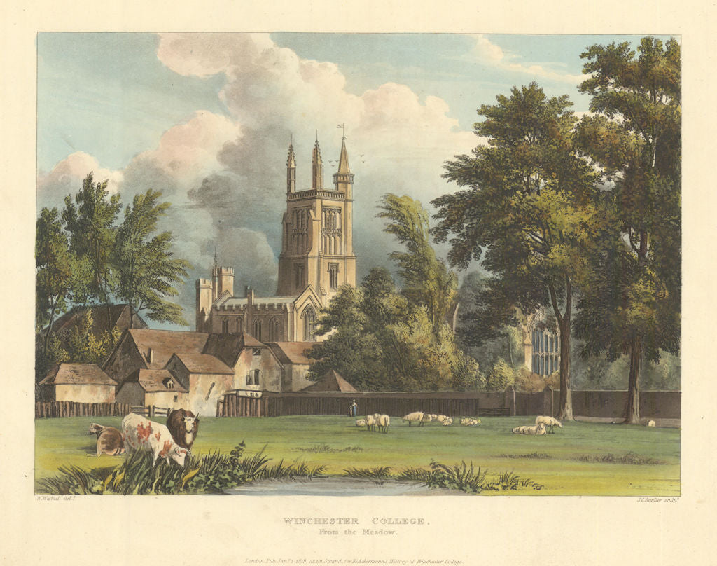 Winchester College, from the Meadow. Ackermann's schools 1816 old print
